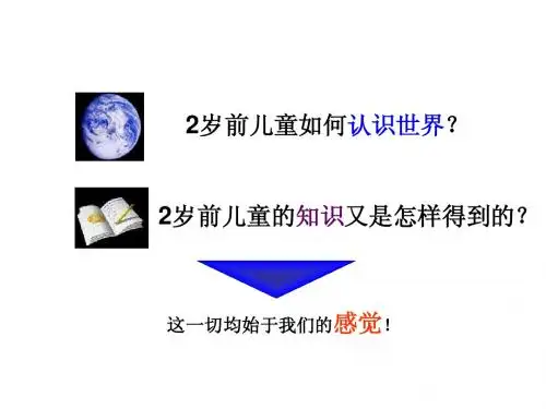 第二章 感知觉