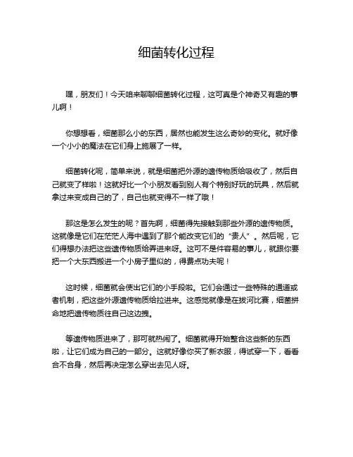 细菌转化过程