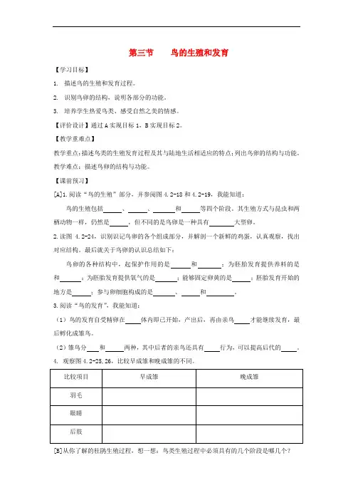 八年级生物上册 4.2.3《鸟的生殖和发育》导学案1(无答案)(新版)济南版