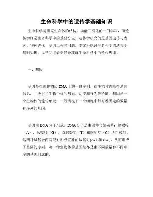 生命科学中的遗传学基础知识