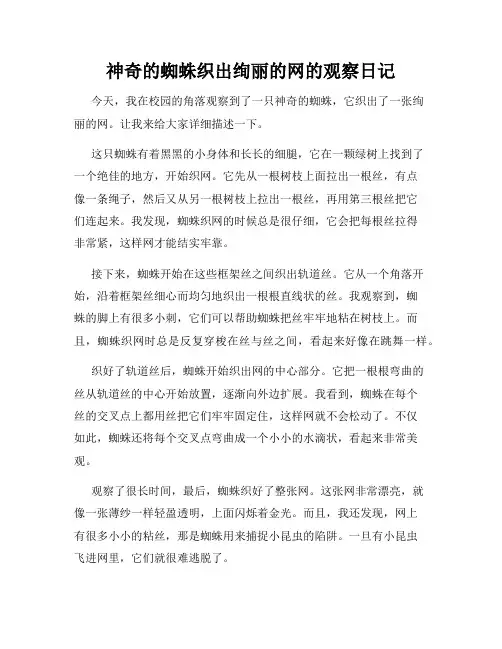 小学三年级作文神奇的蜘蛛织出绚丽的网的观察日记