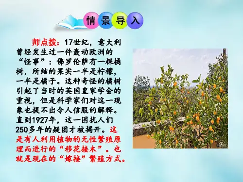 植物的无性生殖课件-济南版生物八年级上册