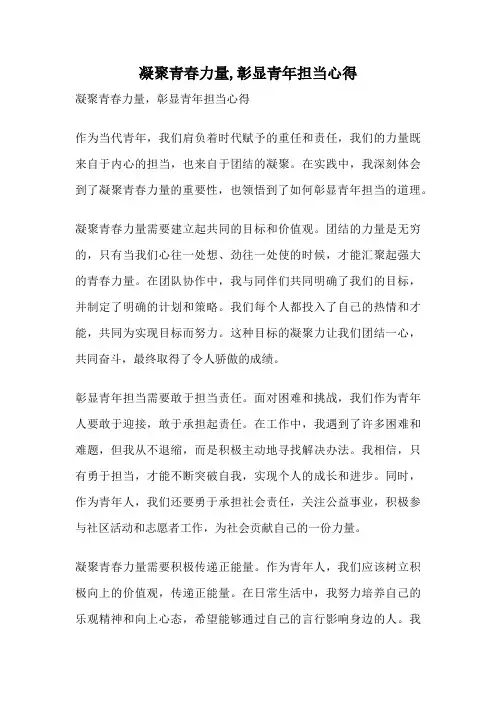 凝聚青春力量,彰显青年担当心得