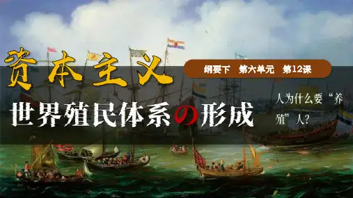 资本主义世界殖民体系的形成ppt课件