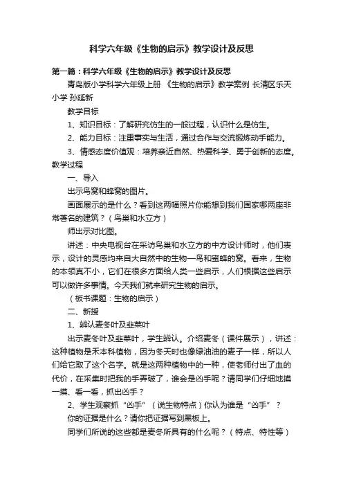 科学六年级《生物的启示》教学设计及反思