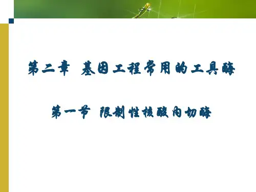 基因工程常用的工具酶