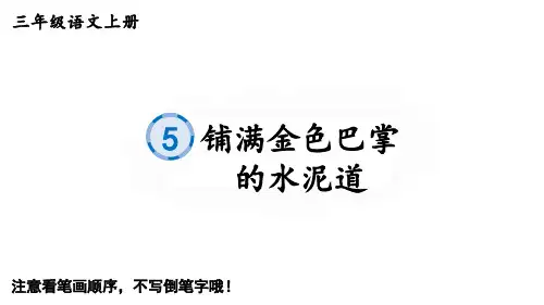 三年级上册语文生字笔顺课件铺满金色巴掌的水泥道PPT课件部编版