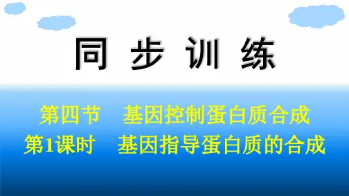 浙科版高中生物学必修2精品课件 第3章 遗传的分子基础 第4节 第1课时 基因指导蛋白质的合成