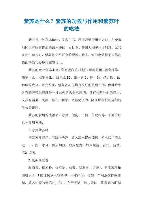 紫苏是什么？紫苏的功效与作用和紫苏叶的吃法