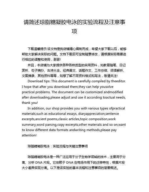 请简述琼脂糖凝胶电泳的实验流程及注意事项