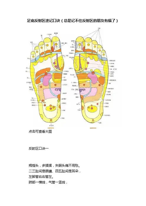 足底反射区速记口诀（总是记不住反射区的朋友有福了）