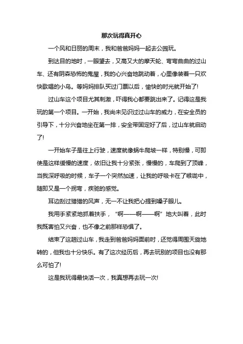 《那次玩得真开心》优秀作文范文
