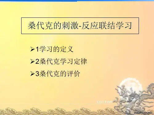 桑代克教育理论共12页