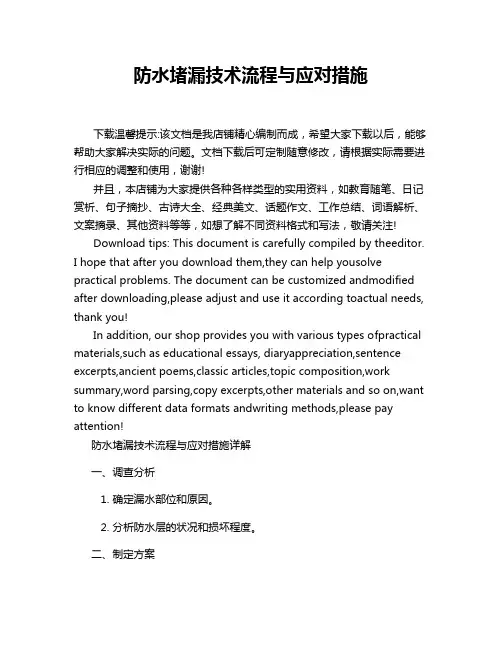 防水堵漏技术流程与应对措施