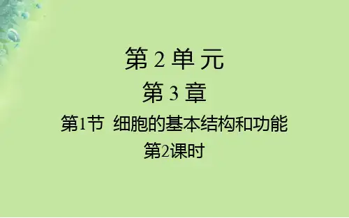 七年级生物上册细胞的基本结构和功能(动物细胞的基本结构)课件