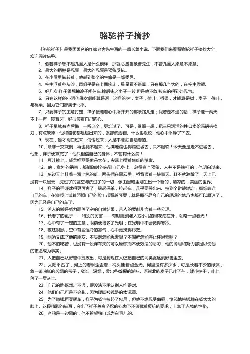 骆驼祥子摘抄大全
