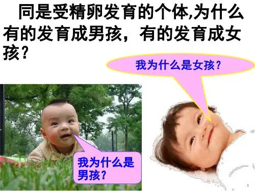 《人的性别遗传公开》PPT课件