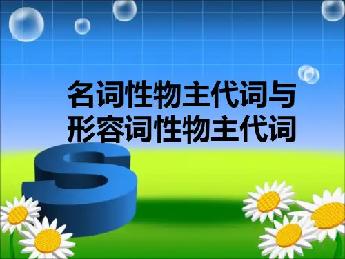 形容词性物主代词与名词性物主代词PPT课件