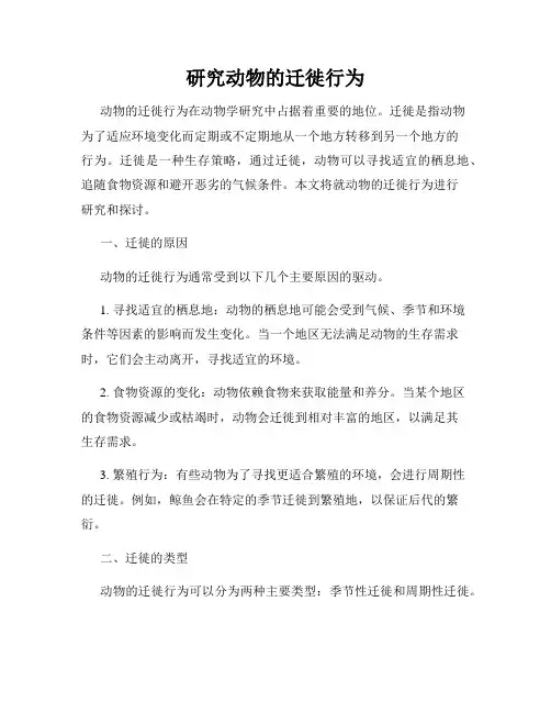 研究动物的迁徙行为