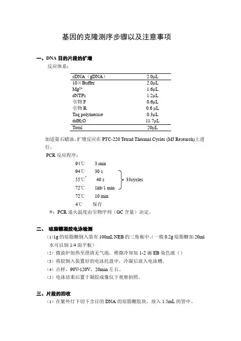 PCR产物克隆步骤以及注意事项