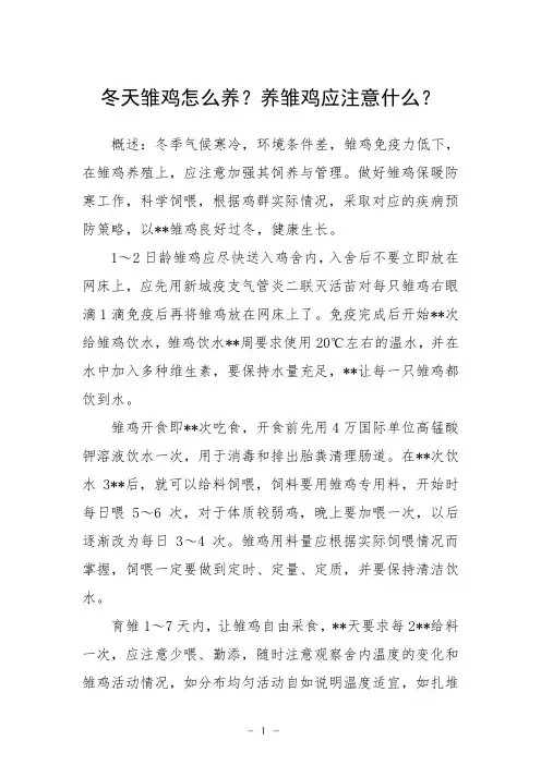 冬天雏鸡怎么养？养雏鸡应注意什么？