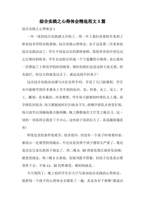 综合实践之心得体会精选范文5篇