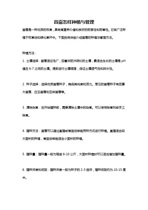 苜蓿怎样种植与管理