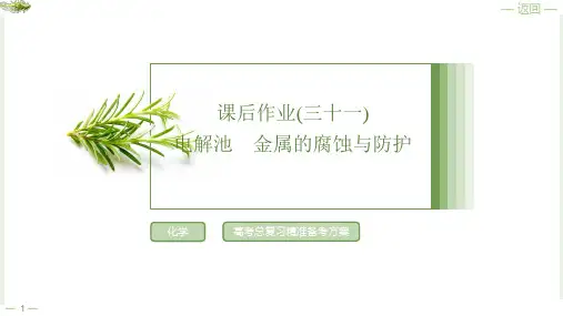课后作业31电解池金属的腐蚀与防护2025年高考化学一轮复习