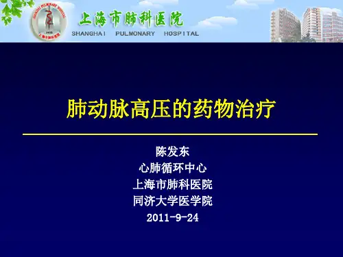 12陈发东肺动脉高压的药物治疗陈发东