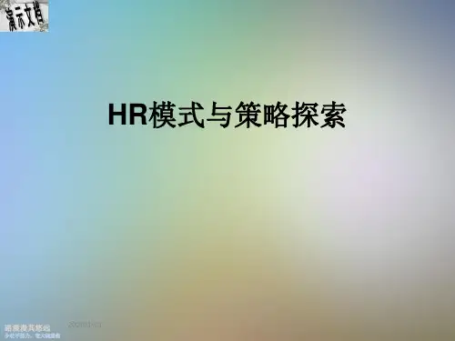 HR模式与策略探索