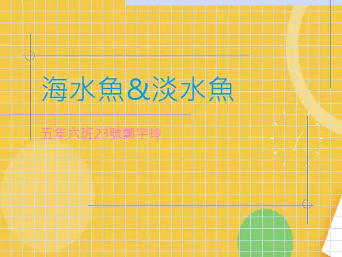 海水鱼&淡水鱼优品ppt资料