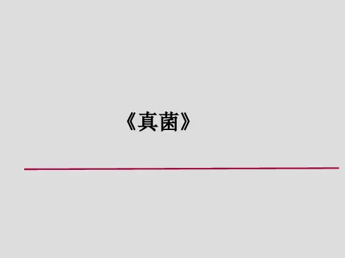 人教版八年级生物《真菌》重难点讲解课件