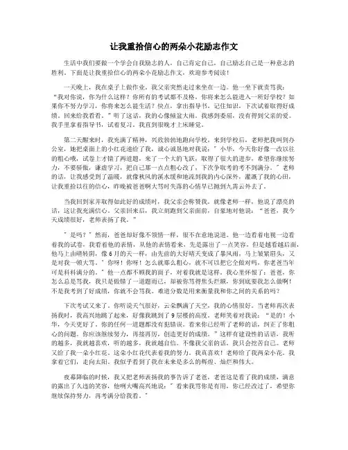 让我重拾信心的两朵小花励志作文