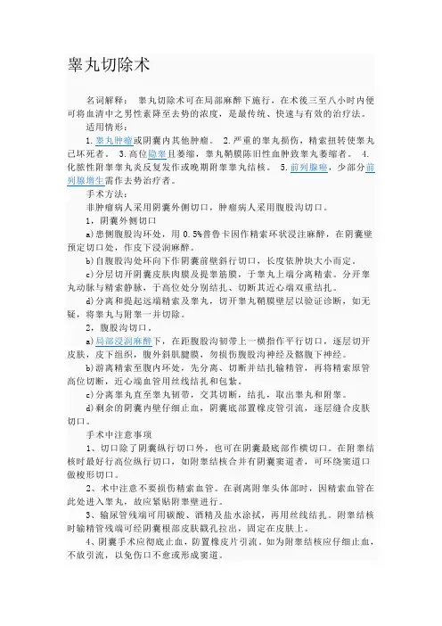 睾丸切除术