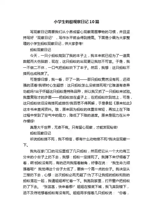 小学生蚂蚁观察日记10篇
