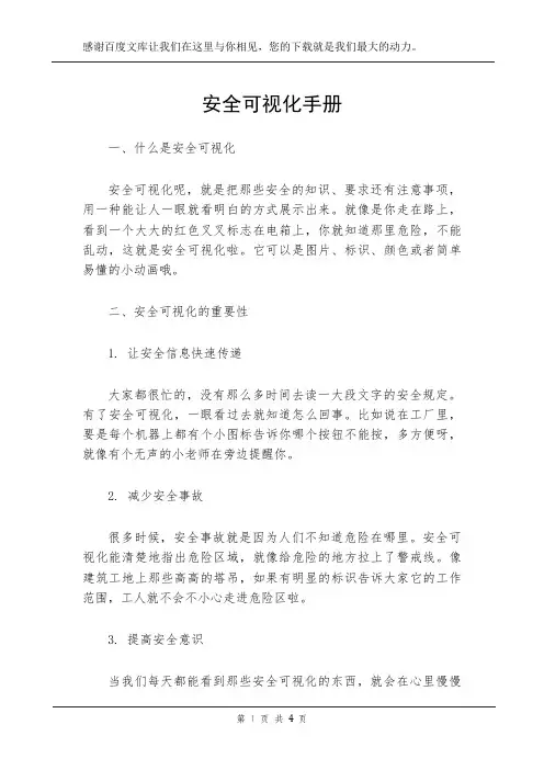 安全可视化手册