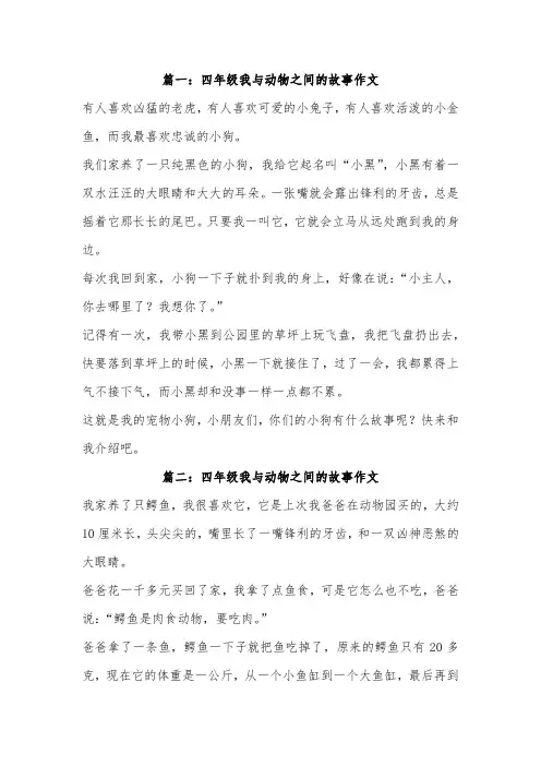 和小动物信赖的故事作文400字