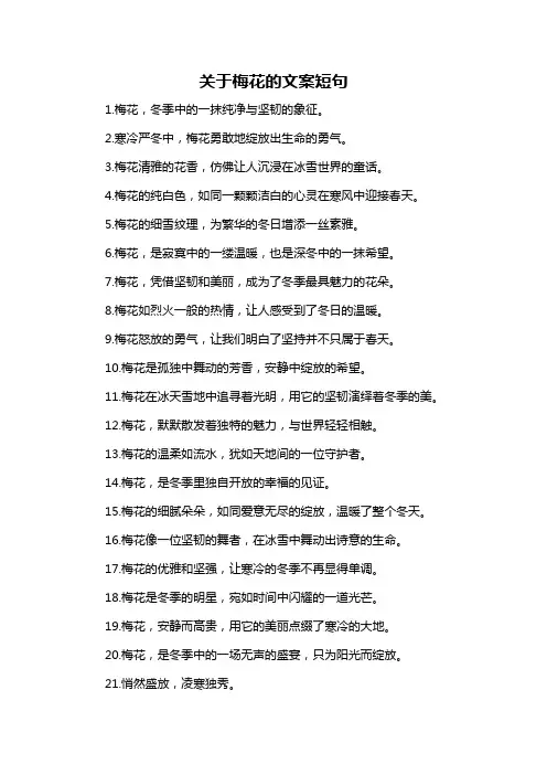 关于梅花的文案短句