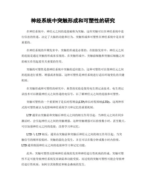 神经系统中突触形成和可塑性的研究