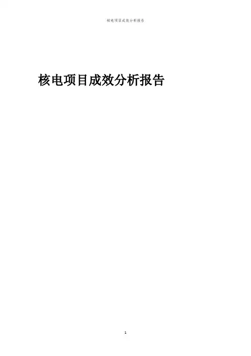 核电项目成效分析报告