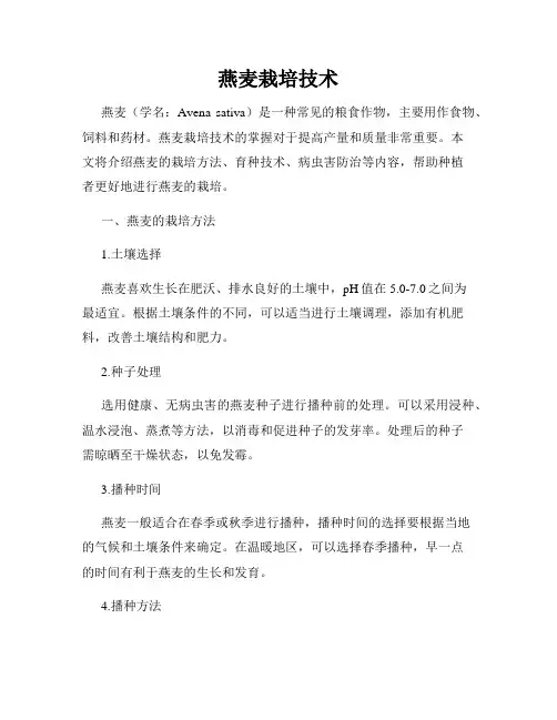 燕麦栽培技术
