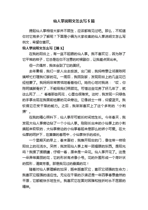 仙人掌说明文怎么写5篇