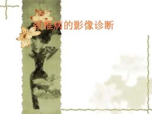 颈椎病的影像诊断PPT课件