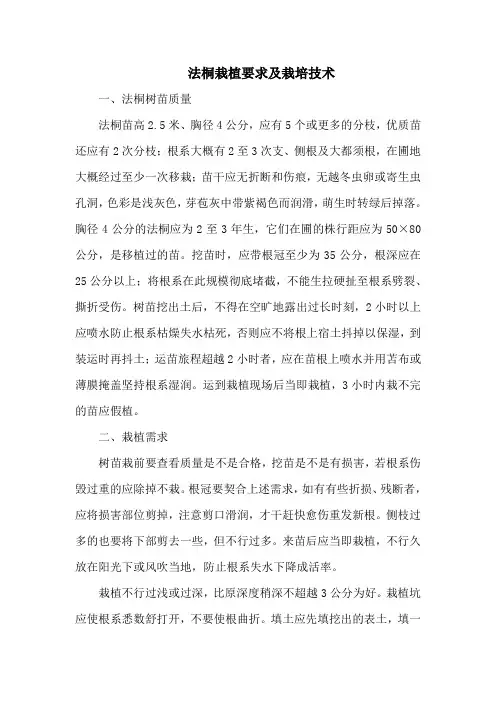 法桐栽植要求及栽培技术