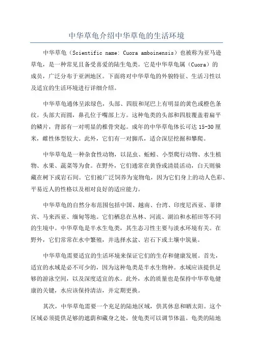 中华草龟介绍中华草龟的生活环境