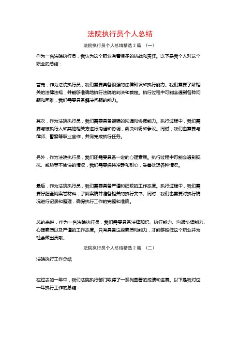 法院执行员个人总结2篇