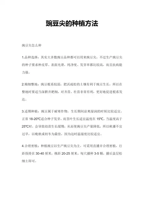 豌豆尖种植注意方法
