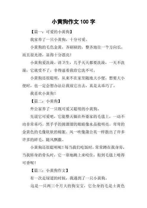 小黄狗作文100字