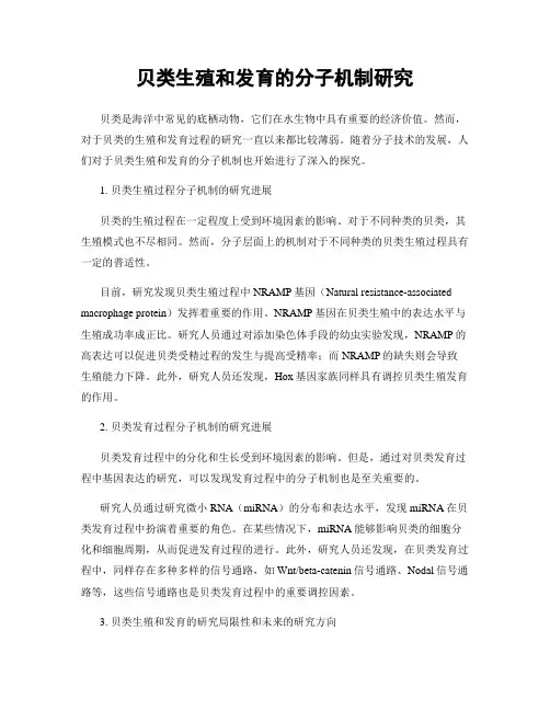 贝类生殖和发育的分子机制研究