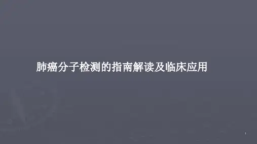 肺癌分子检测的指南解读及临床应用ppt课件(1)
